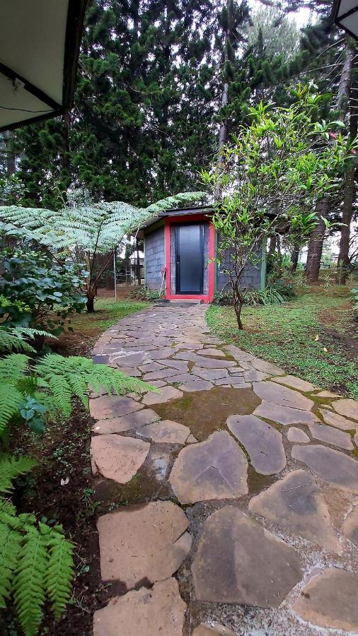 Vila Kolmas 59 Villa Bongkor 1 Kültér fotó